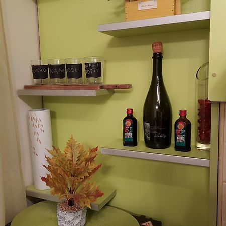 Stancicmilena Apartment Pozarevac Bagian luar foto