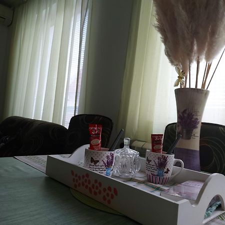 Stancicmilena Apartment Pozarevac Bagian luar foto