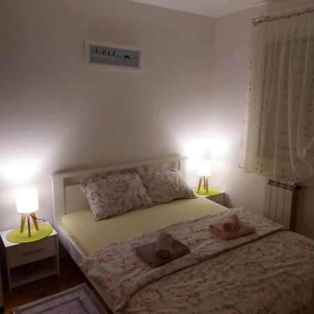 Stancicmilena Apartment Pozarevac Bagian luar foto