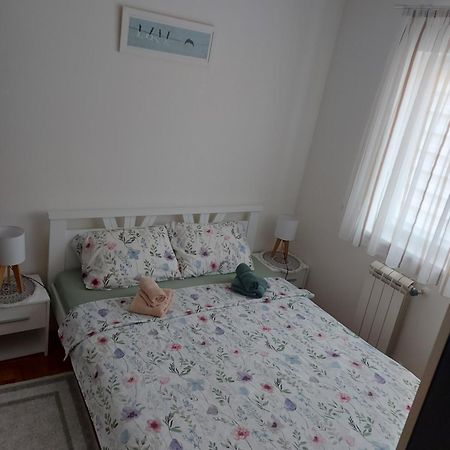 Stancicmilena Apartment Pozarevac Bagian luar foto