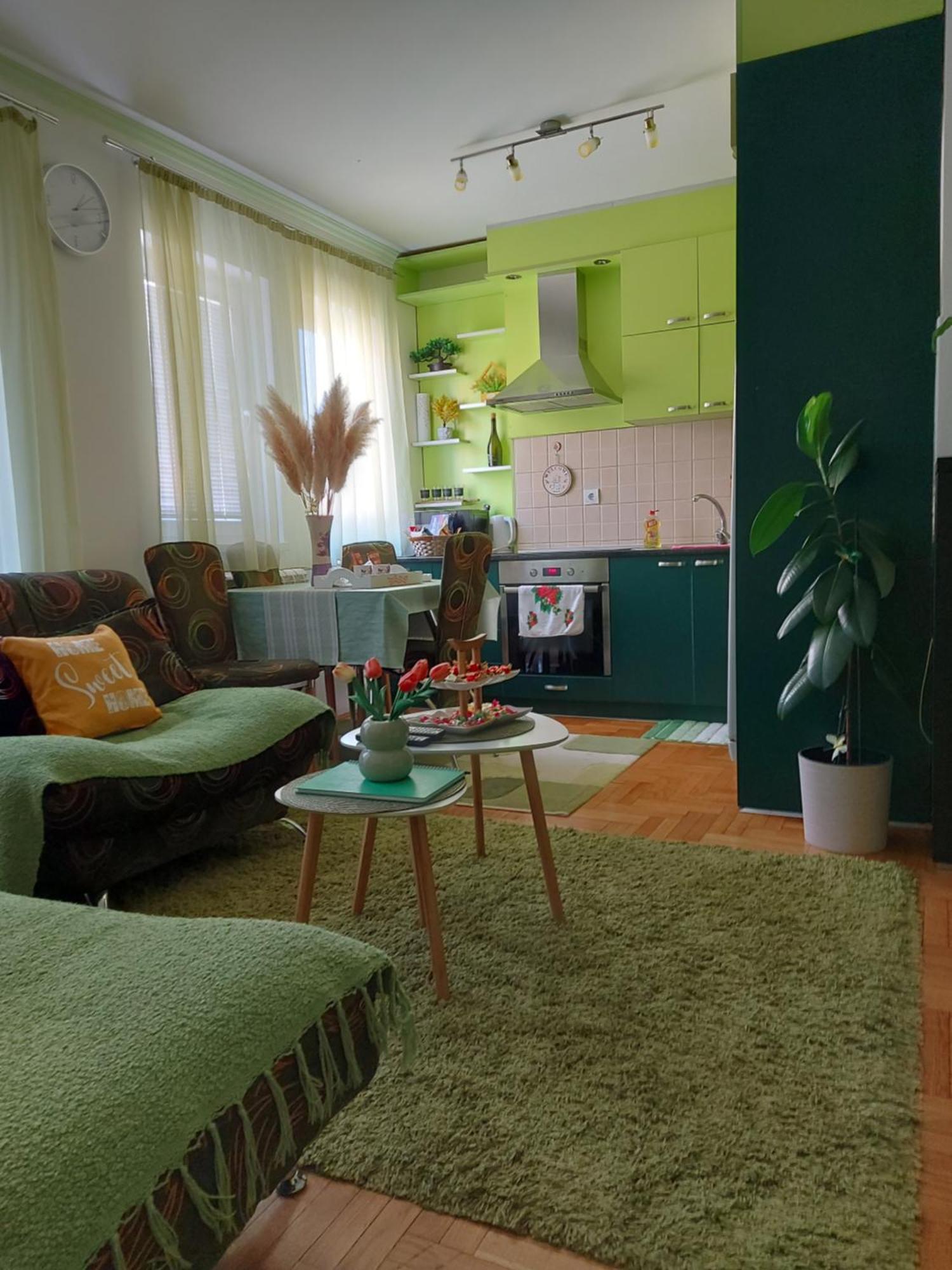 Stancicmilena Apartment Pozarevac Bagian luar foto