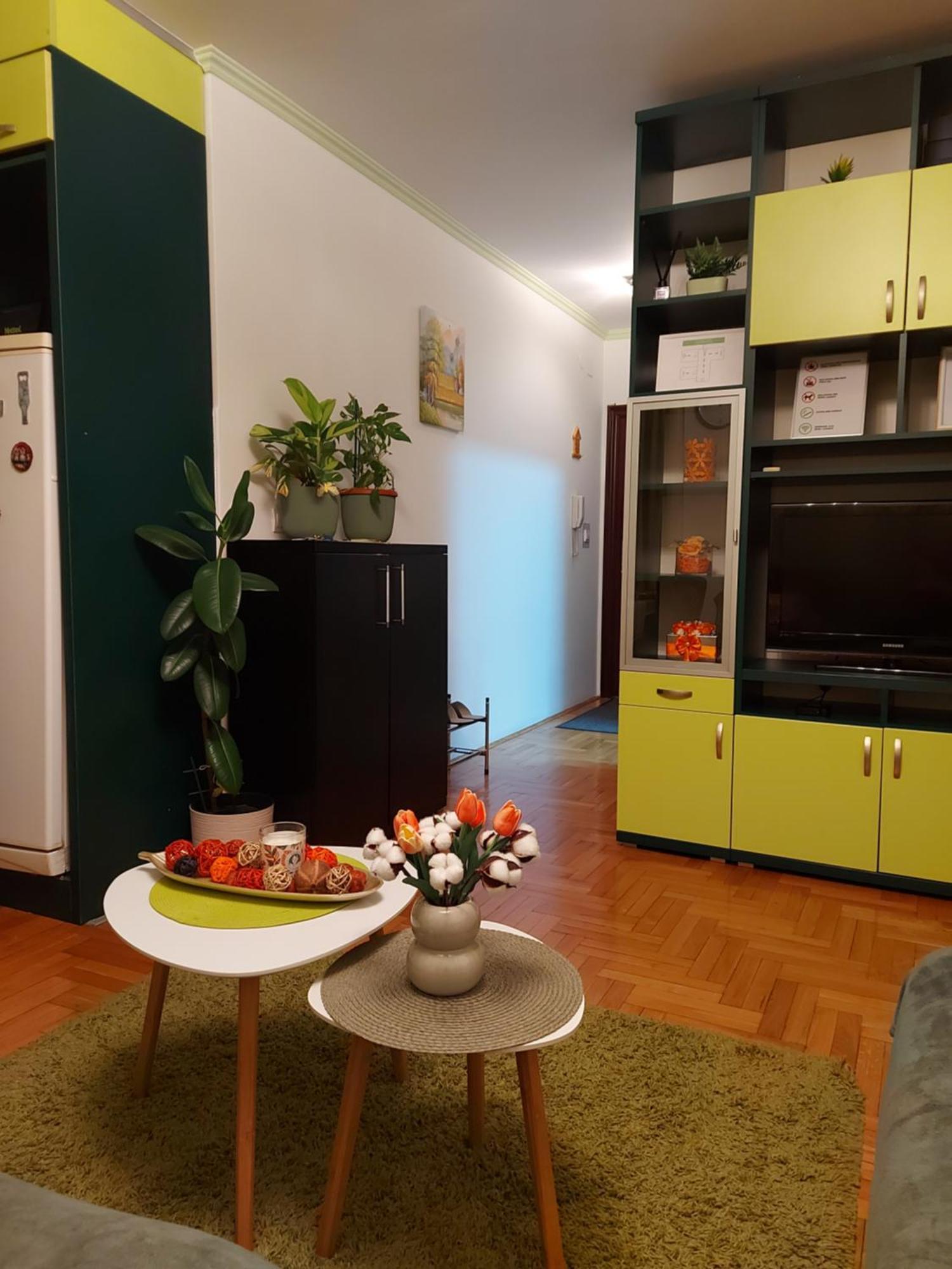 Stancicmilena Apartment Pozarevac Bagian luar foto