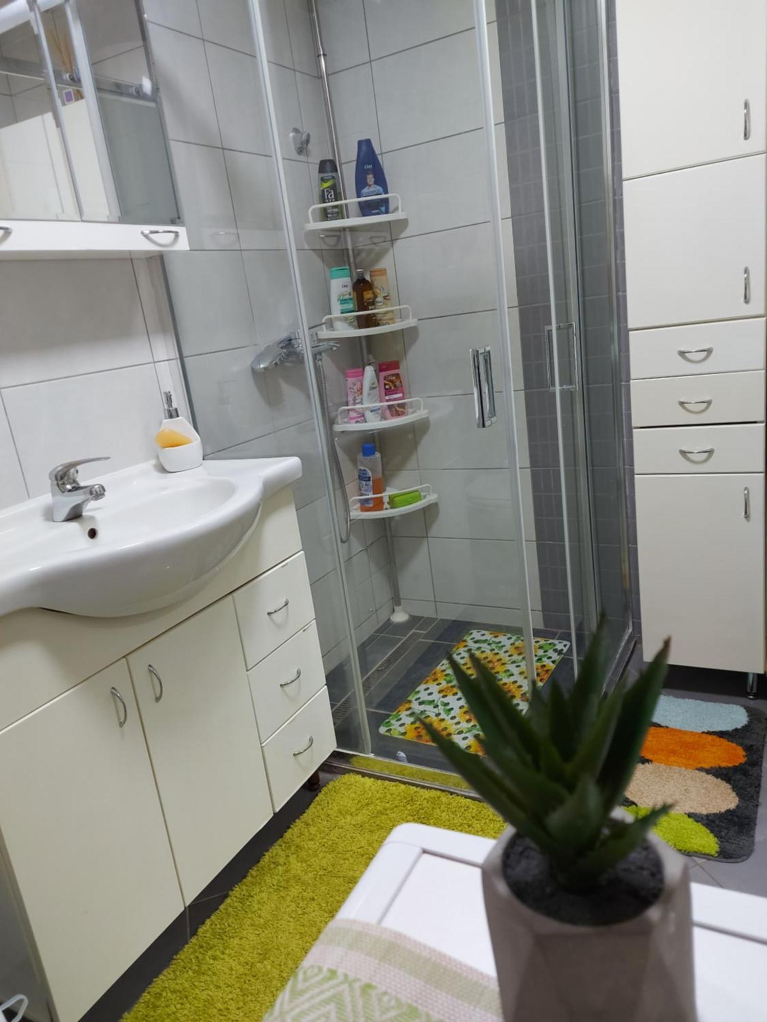Stancicmilena Apartment Pozarevac Bagian luar foto