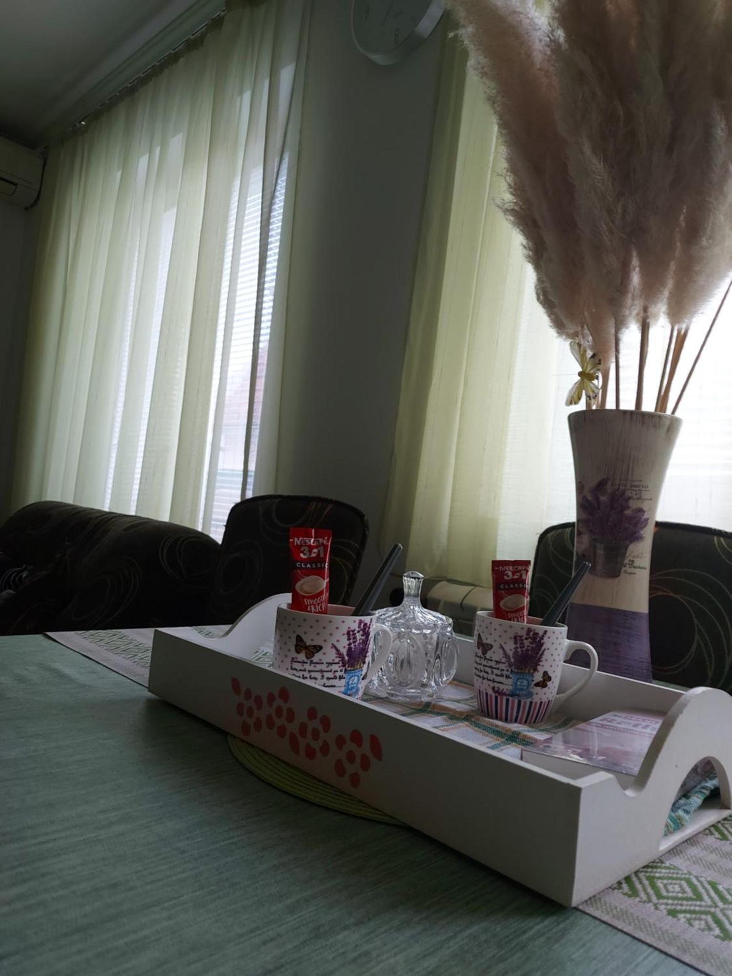 Stancicmilena Apartment Pozarevac Bagian luar foto