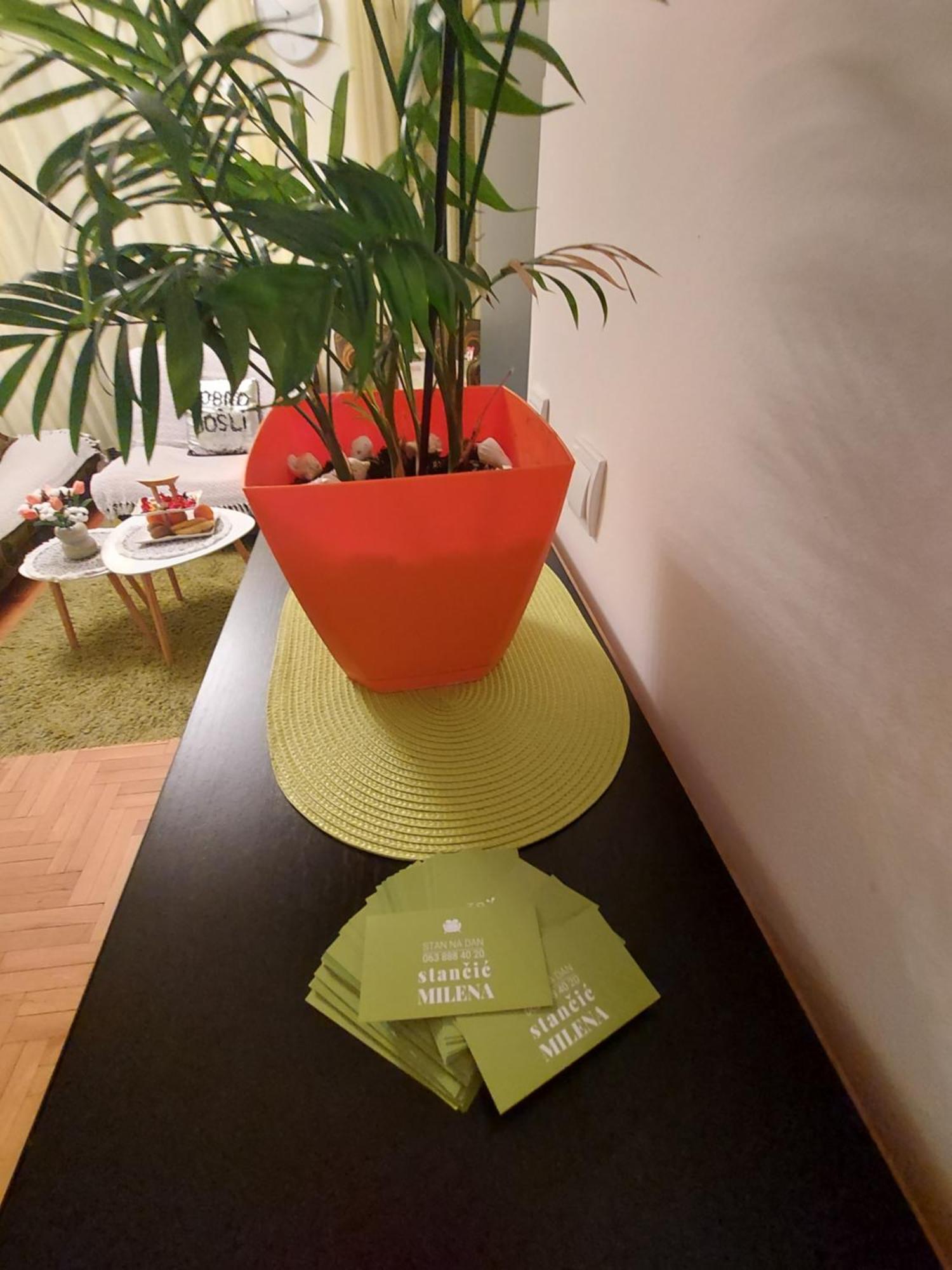 Stancicmilena Apartment Pozarevac Bagian luar foto