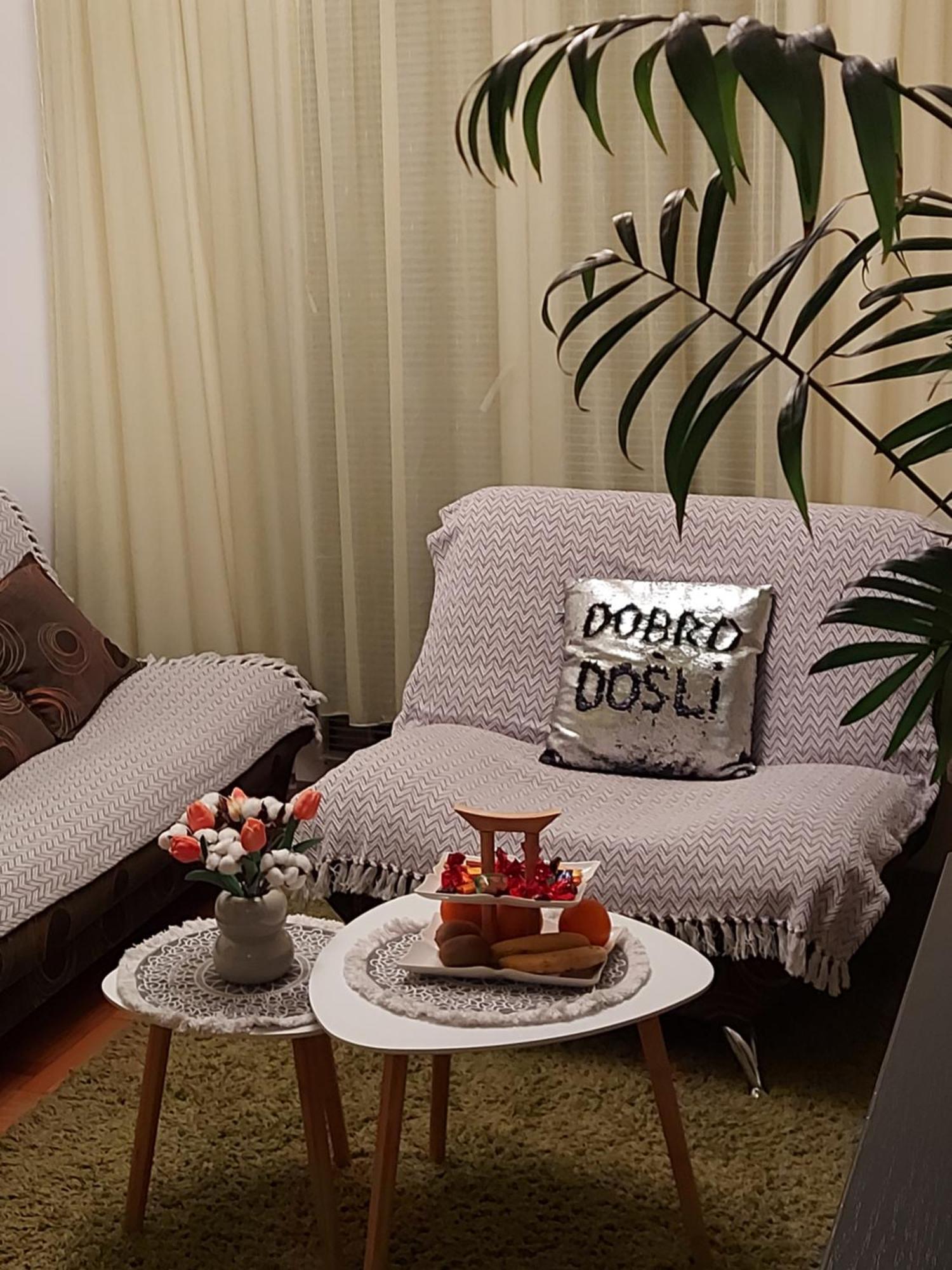 Stancicmilena Apartment Pozarevac Bagian luar foto
