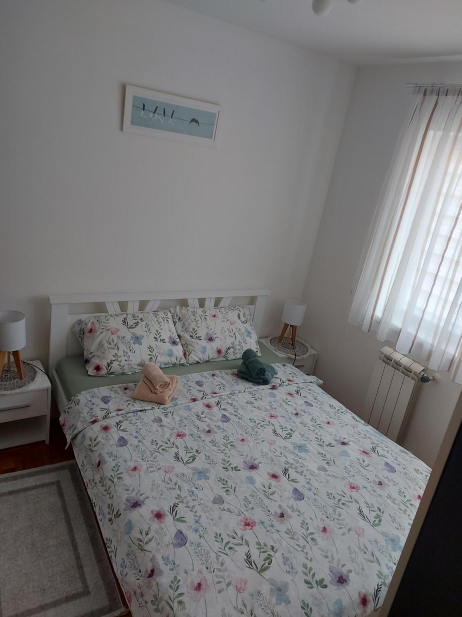 Stancicmilena Apartment Pozarevac Bagian luar foto